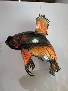 Custom Made Beta Fish