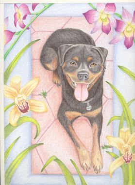 Custom Made Pet Portrait In Colored Pencil