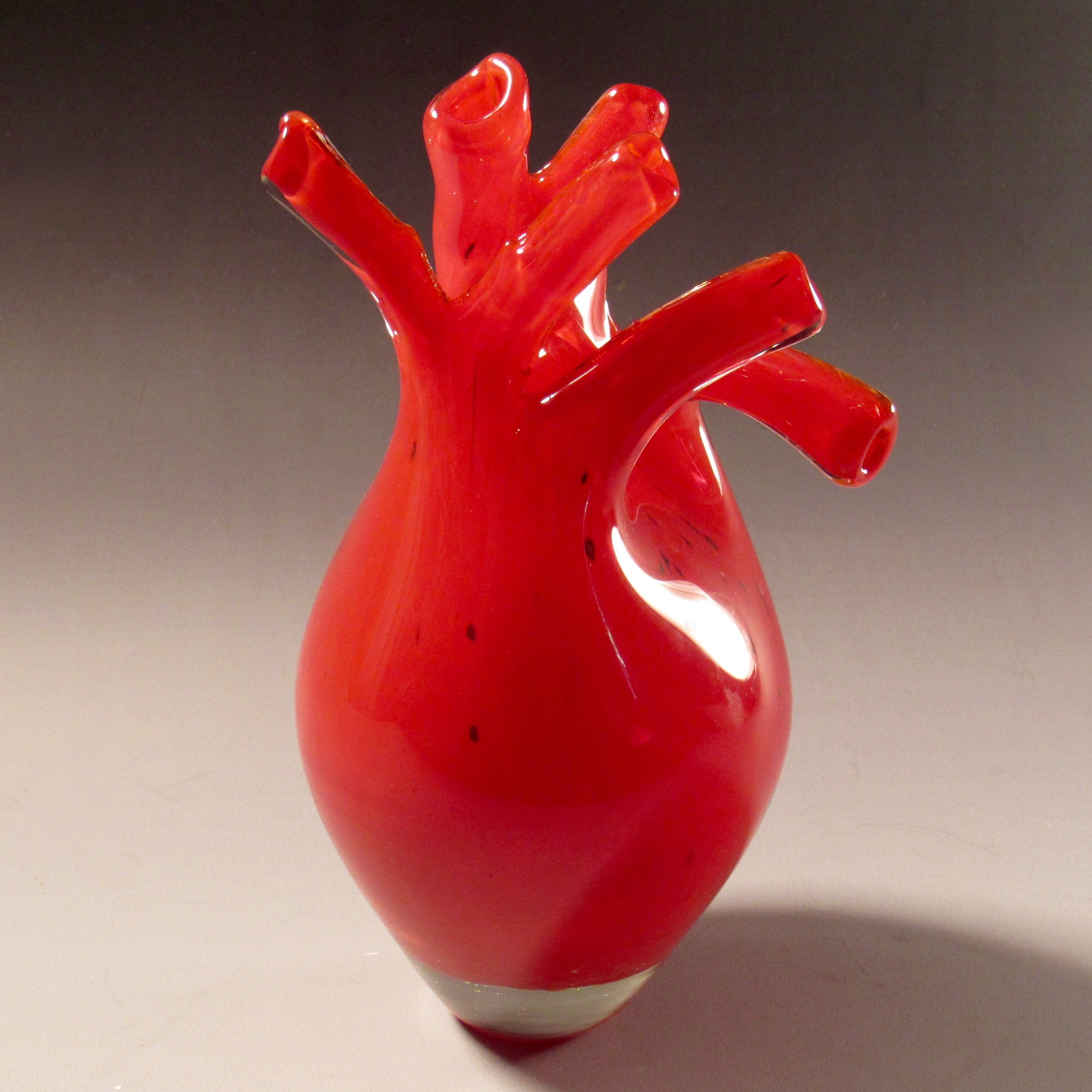 Hand Crafted Blown Glass Anatomical Hearts by Sarah A Band | CustomMade.com