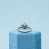 James's Engagement Ring 2