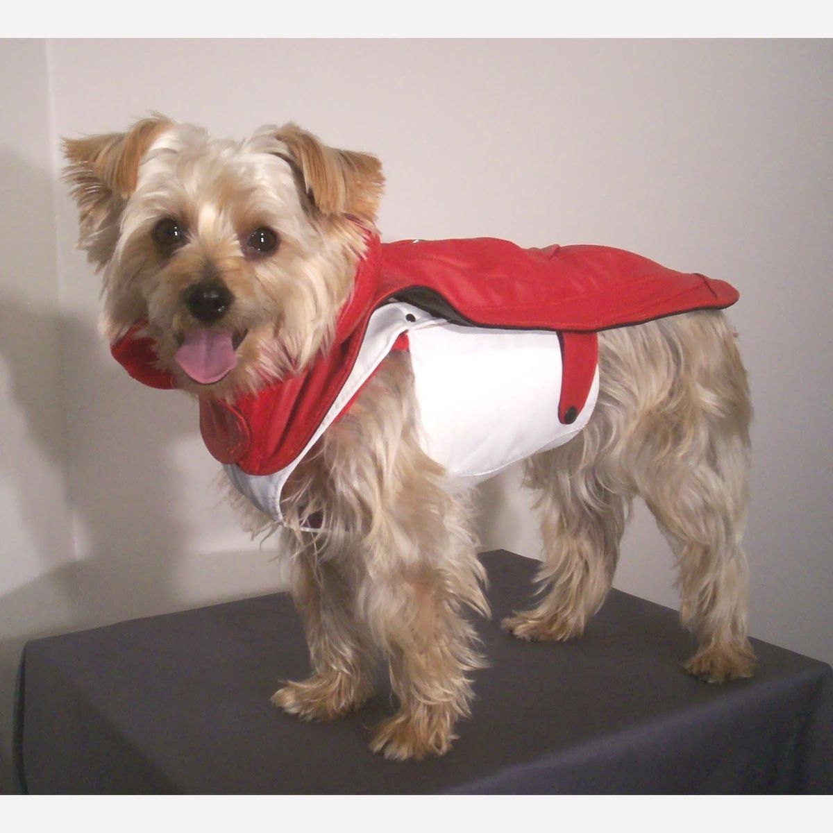 Hand Crafted Leather Dog Coat And Harness by Miguel and Co