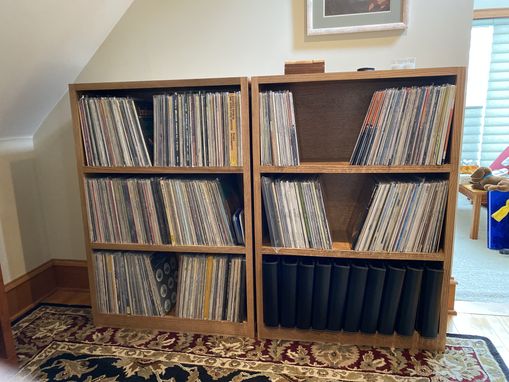 Custom Made Vinyl Storage