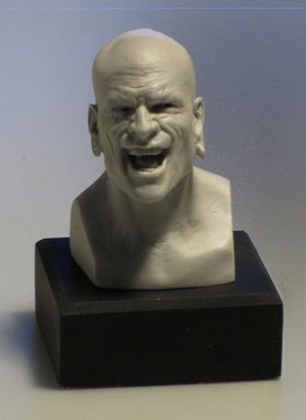 Custom Made Miniature Action Figure Head Sculpts