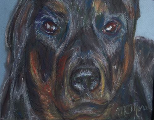 Custom Made Dog Breed Fine Art Prints From Original Pastel Painting