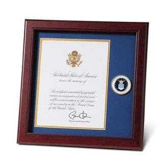 Custom Made U.S. Air Force Medallion Presidential Memorial Certificate Frame