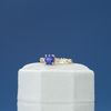 Gustavo's Engagement Ring 5