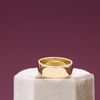 Ben's Engagement Ring 3