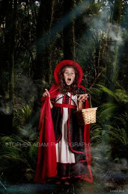 Custom Made Red Riding Hood Girls Storybook Costume Dress