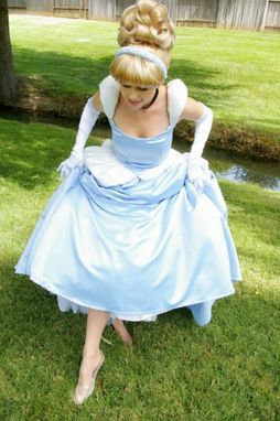 Custom Made Cinderella Gown Adult Costume Version J