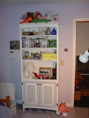 Custom Made Bookcase Cabinet