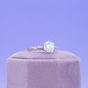 Joshua's Engagement Ring 5