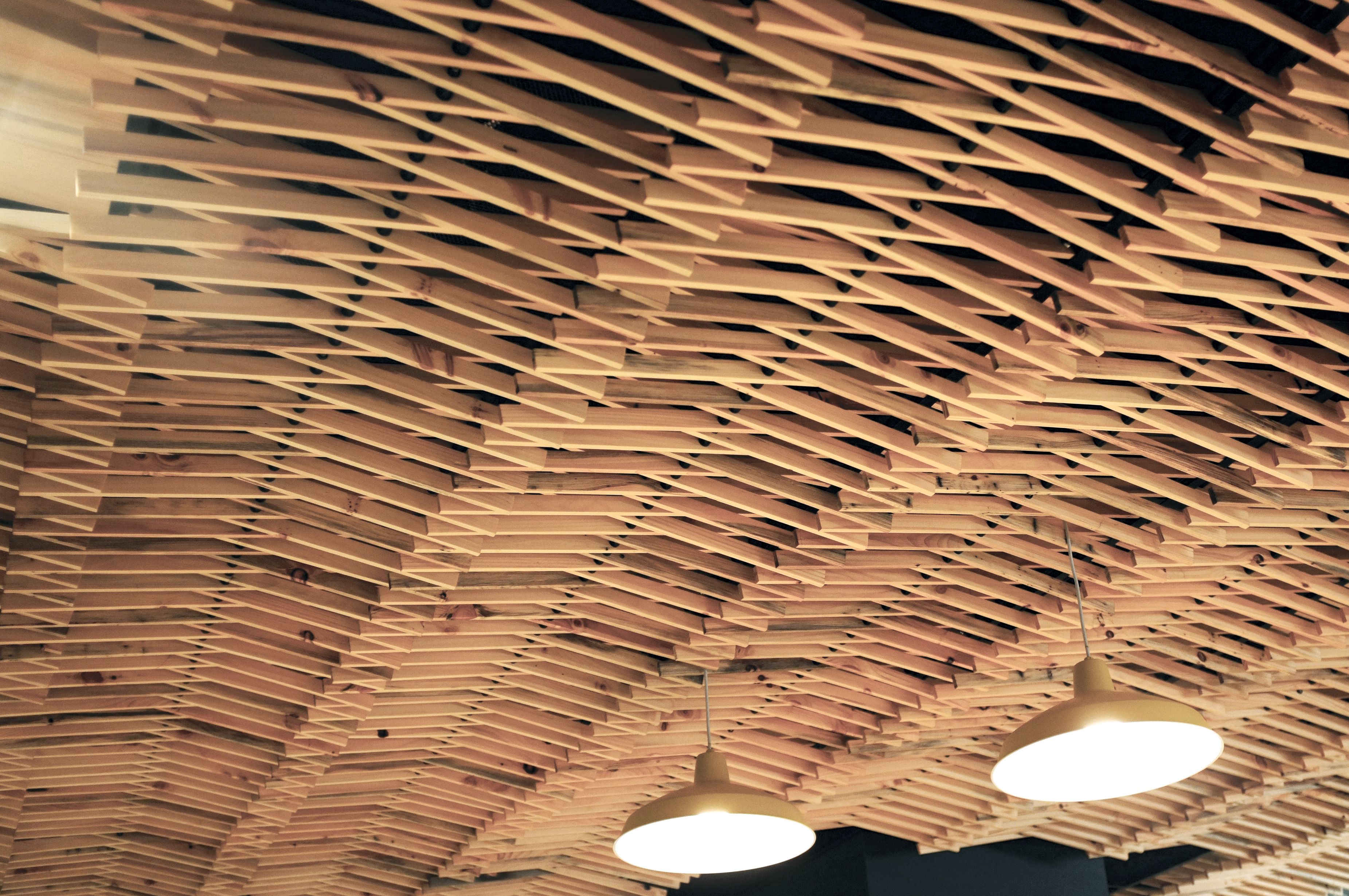 Custom Made White Pine Slat Ceiling by RUDABEGA