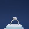 Nick's Engagement Ring 3