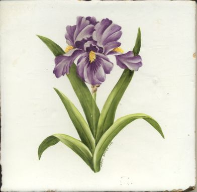Custom Made Hand Painted Iris Sample