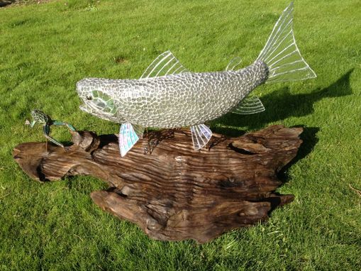 Custom Made Clear Rainbow Trout Chasing A Frog