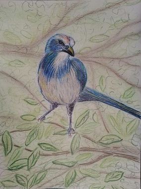 Custom Made Bird Drawing