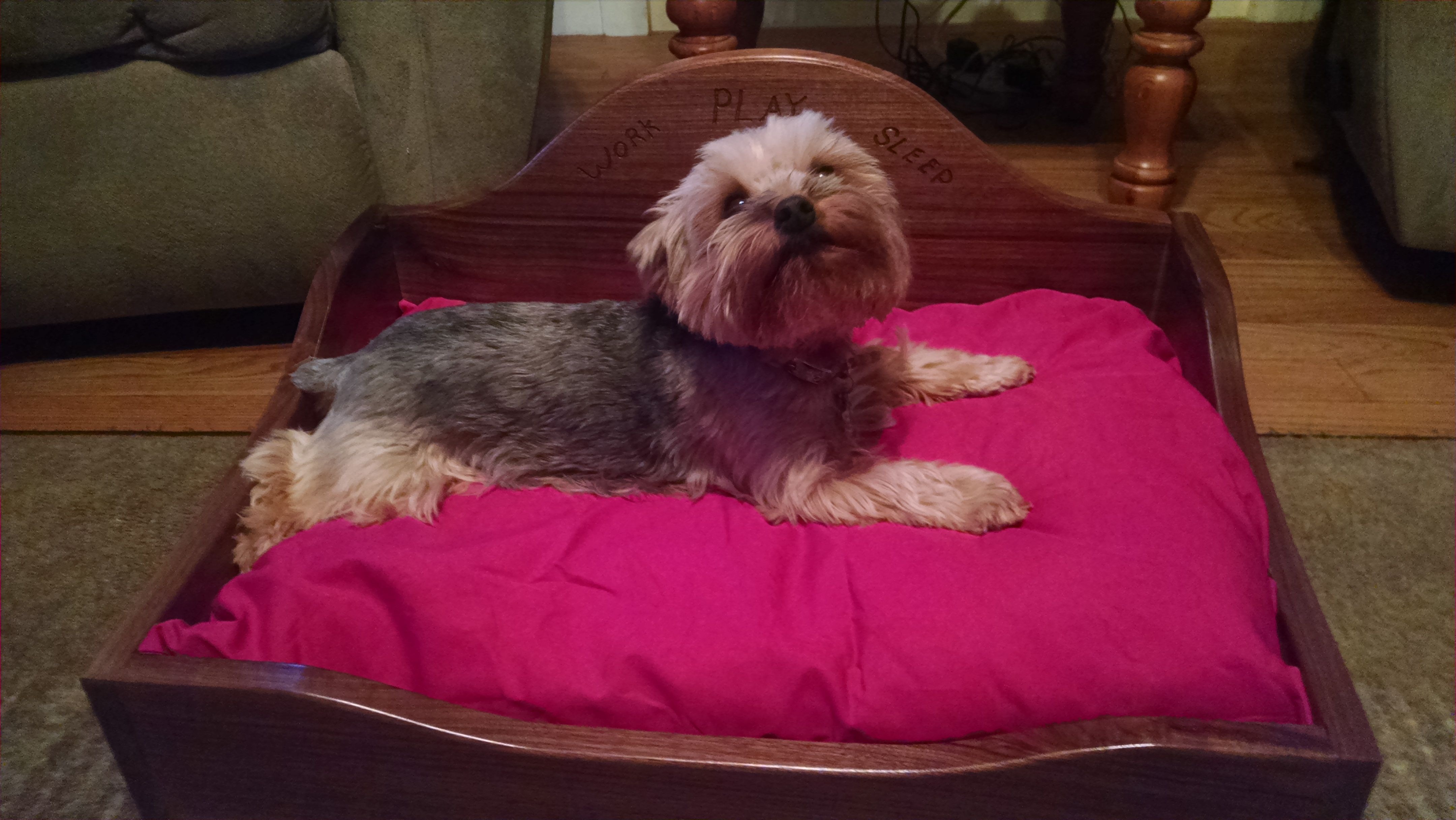 Hand Made Custom Pet Beds by Larue Woodworking