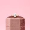 Nida's Engagement Ring 4