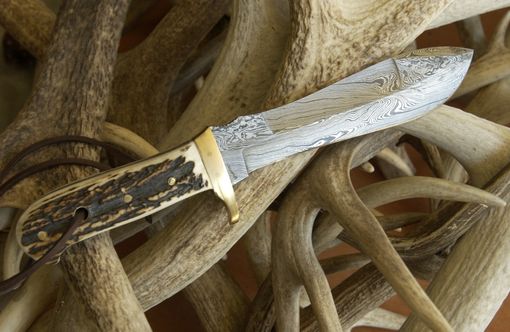 Custom Made Stag Handled With Damascus Old World Damascus In This Modern Work Knife & Custom Leather Sheath