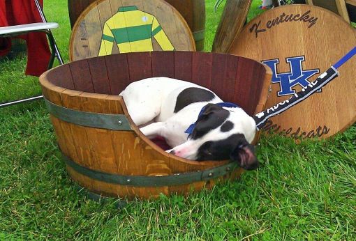 Custom Made Wine Barrel Dog Bed