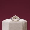 Jayden's Engagement Ring 4