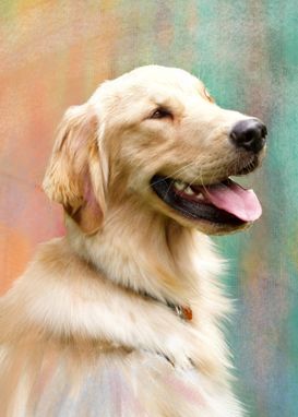Custom Made Gorgeous Custom Pet Portrait Painting On Canvas Or Watercolor Paper