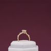 Paulina's Engagement Ring 1