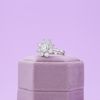 Meghan's Engagement Ring 4