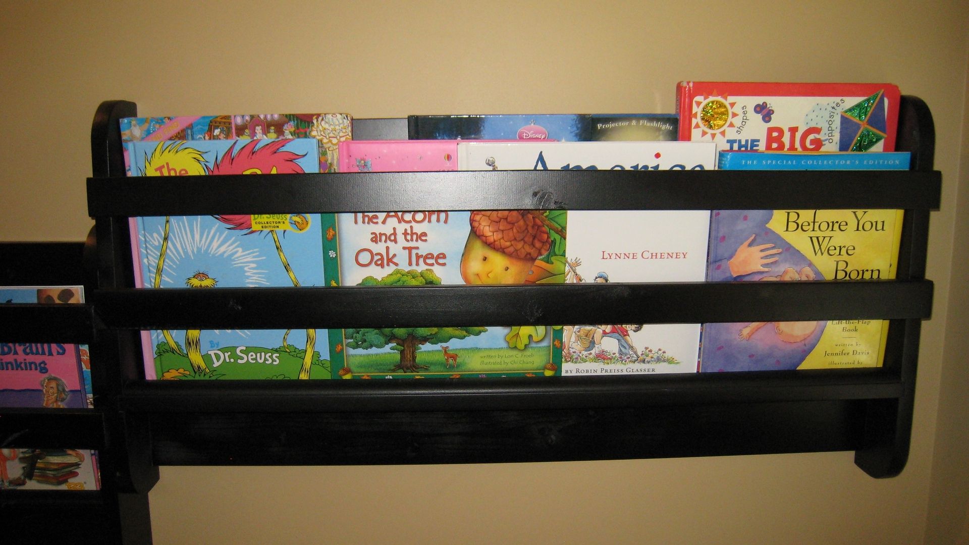 Hand Crafted Shelves For Children's Books by Wildwood Construction