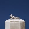 Robert's engagement ring 2