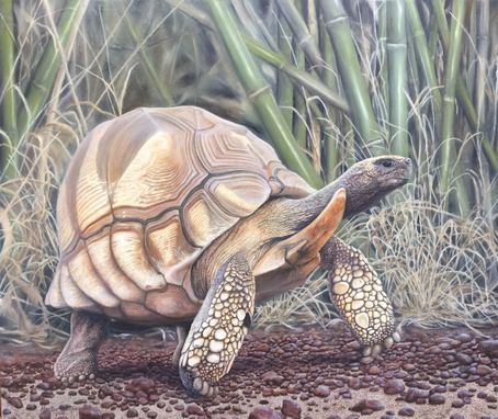 Custom Made Wildlife Paintings