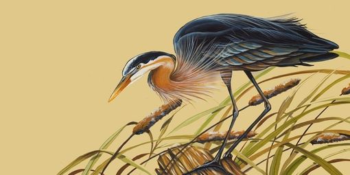 Custom Made Set Of 2 Prints Of Blue Heron  And White Egret