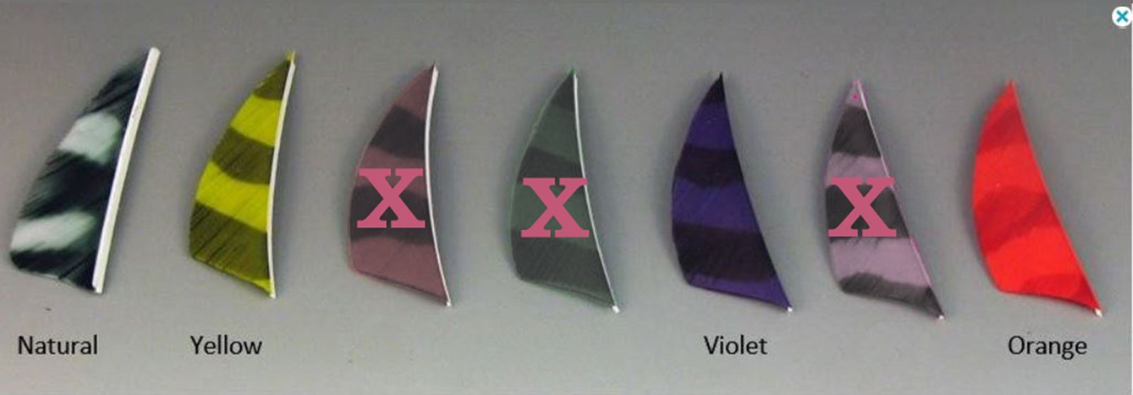 Buy Handmade Dart Flights, Real Turkey Feathers ( Dart Bodies Not