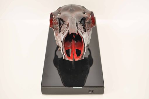 Custom Made Painted Elk Skull- Custom Sculpture And Art