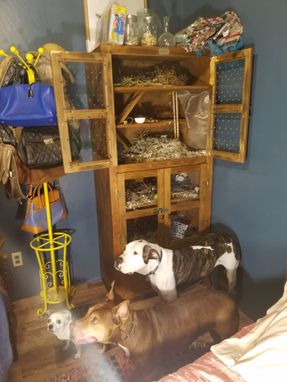 Custom Made Animal Cabinet / Pet Home