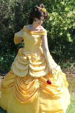 Custom Made Belle Parade Version Adult Costume Beauty And The Beast Gown - Full Package
