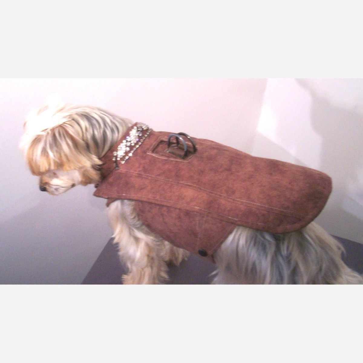 Custom Made Dog Coat And Harness by Miguel and Co.