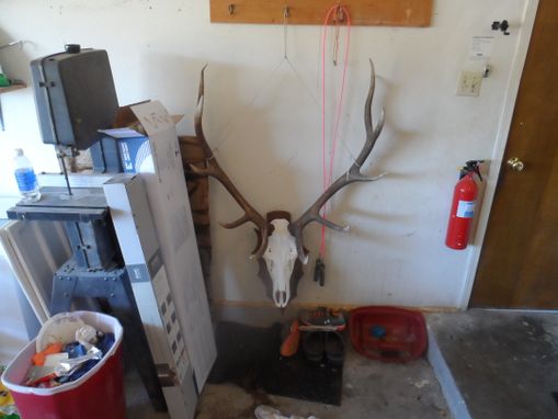 Custom Made Elk Mount