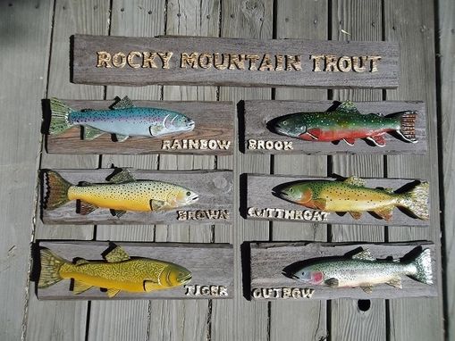 Custom Made Rocky Mountaiin Trout Collection