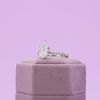 Allie's Engagement Ring 3