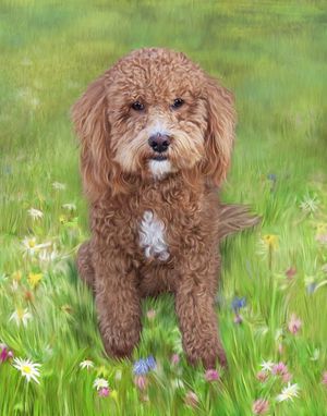 Custom Made Realistic Custom Pet, Dog, Cat Portrait Painting On Canvas Or Archival Paper