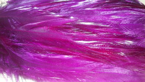 Custom Made Sale Fuschia Feather Hair Fascinator, Great For Weddings & Special Occasions, Ready To Ship