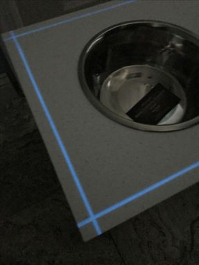 Custom Made Meganite Dog Feeding Station With Glow Inlay!
