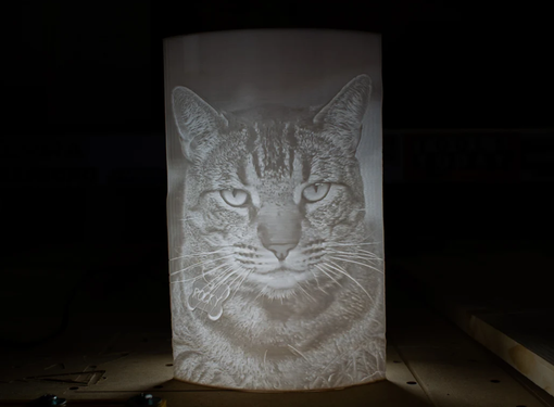 Custom Made Lithopane - Portrait - 3d Printed Picture - " Grumpy Cat " - Animal Portrait - Lithograph