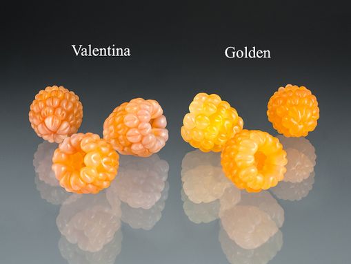 Custom Made Realistic Glass Golden Raspberry, Life-Sized