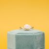 John's Engagement Ring 4