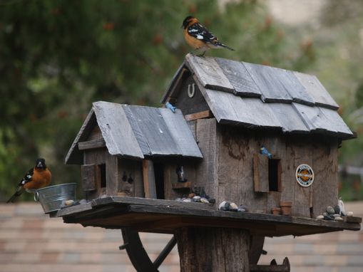 Custom Made Bird Houses