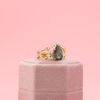 MacKenzie's Engagement Ring 5