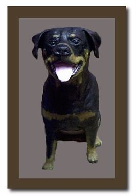 Custom Made Rottweiler Puppy
