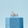 James's Engagement Ring 6